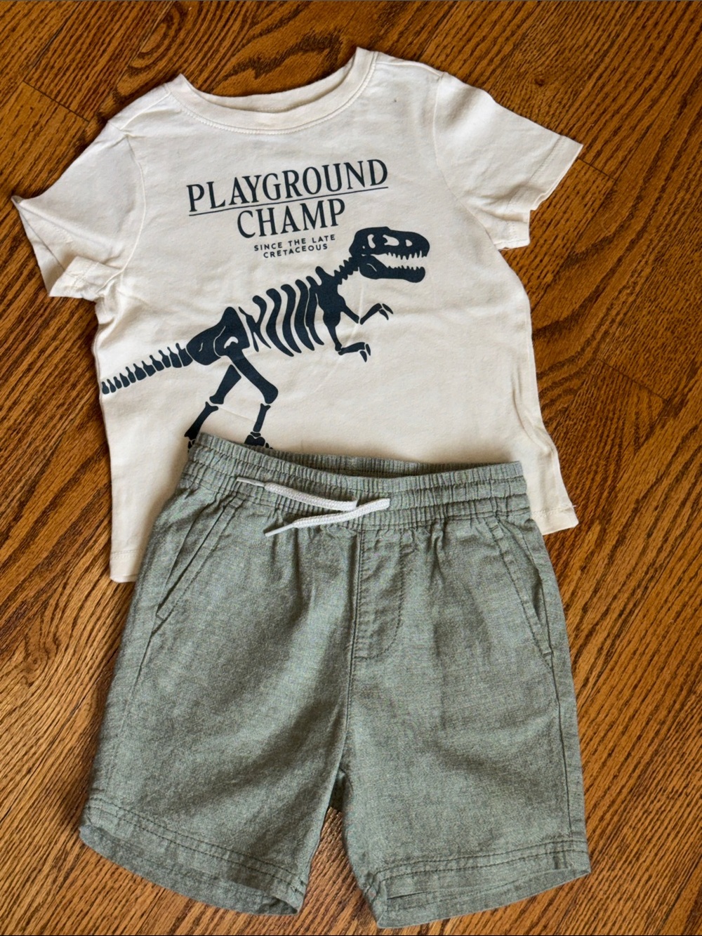 Toddler Boys Playground Champ Dinosaur Tee and Green Shorts